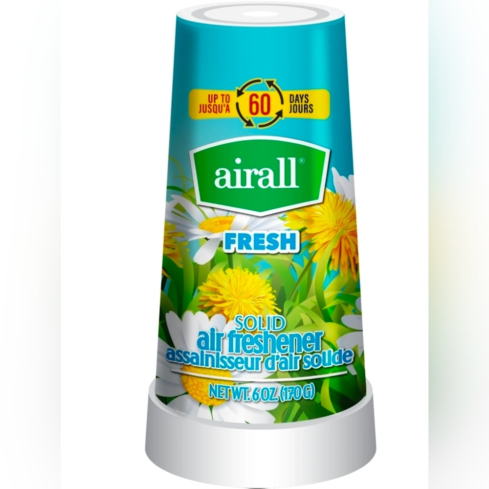 Airall Fresh Solid Air Freshener (170g)